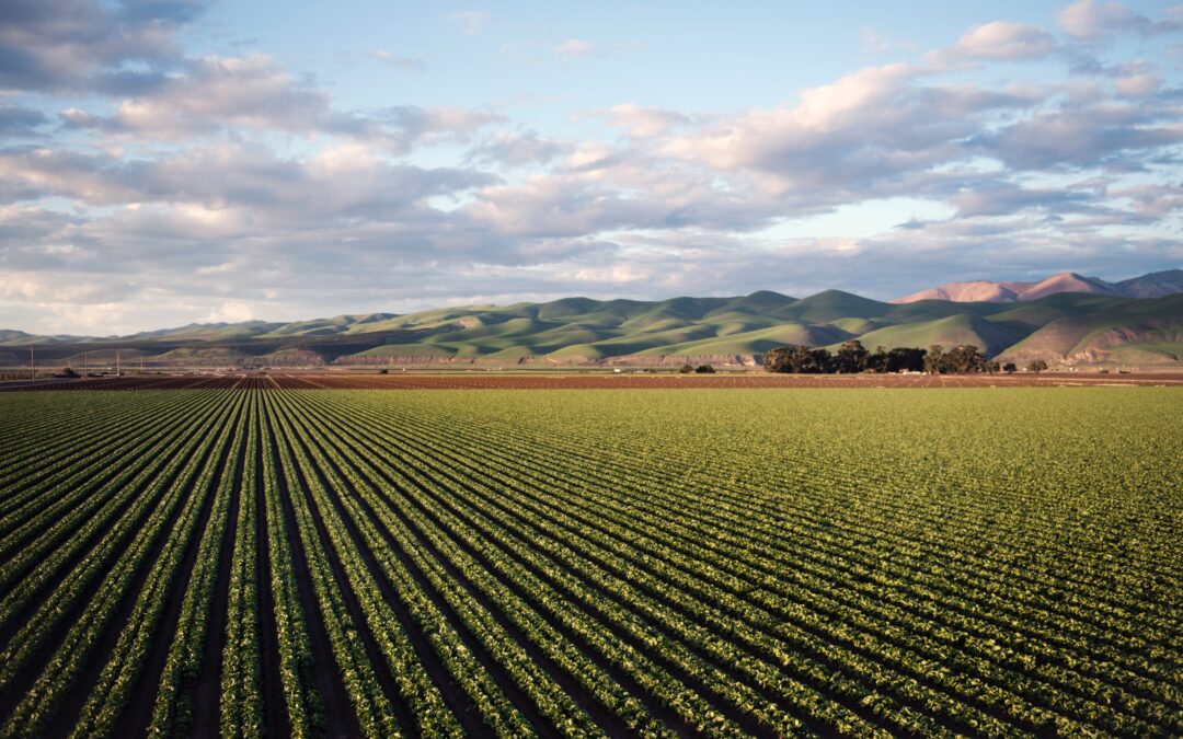 Investing In Farmland Helps Feed America